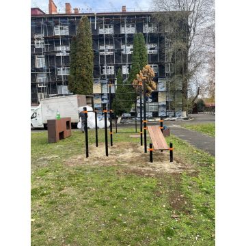 Турник, брусья, скамья для пресса, шведская стенка