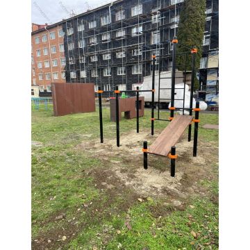 Турник, брусья, скамья для пресса, шведская стенка