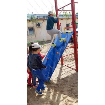 ДИК Австрия 08 с 2-мя качелями